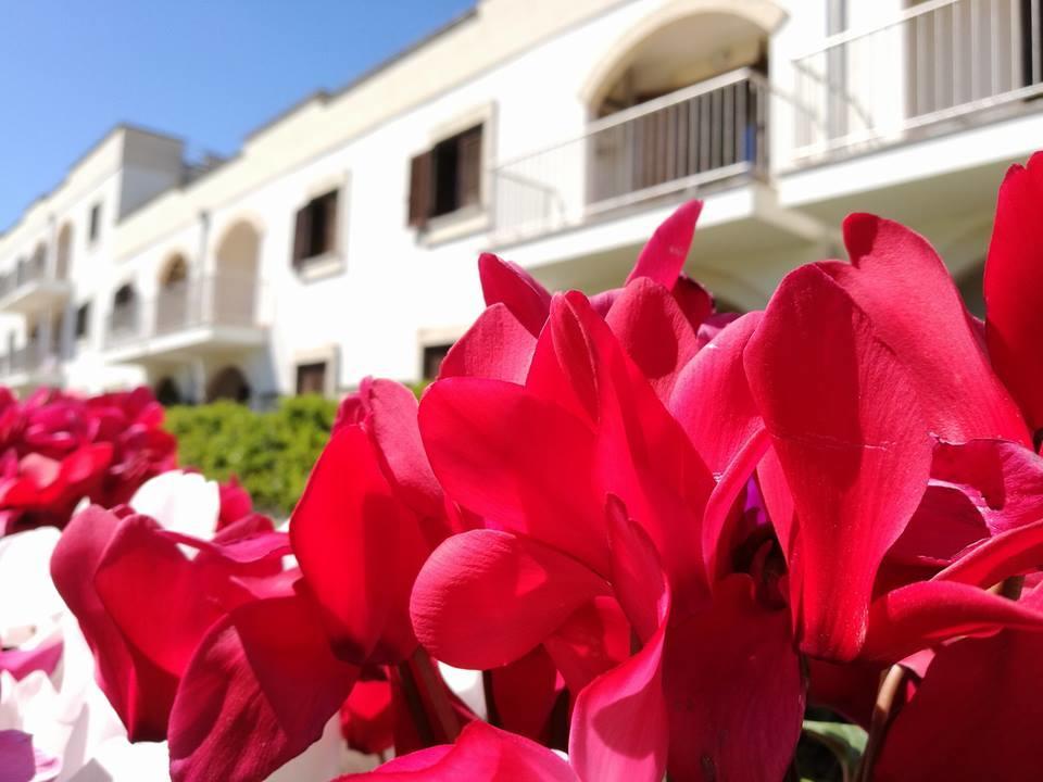 Villaggio Catalano Кастелланета-Марина Экстерьер фото